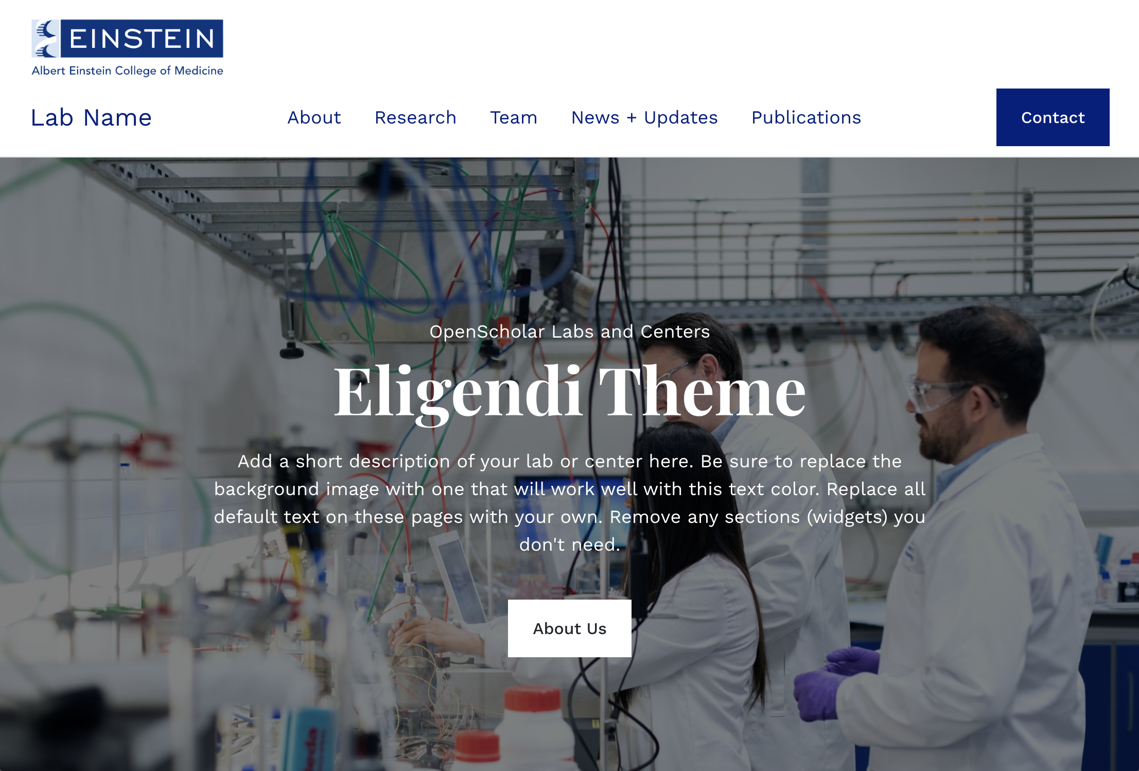 Screenshot of Eligendi theme