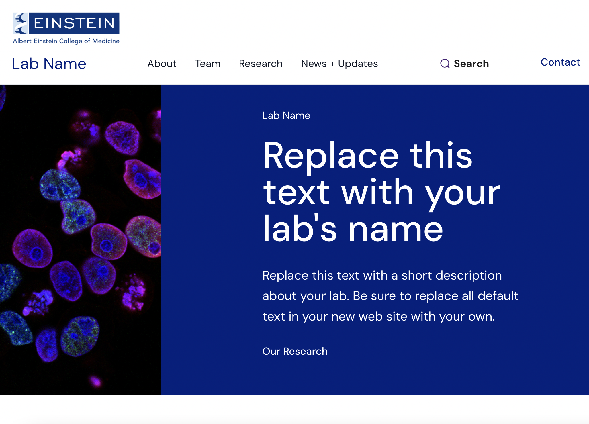 Screenshot of Modern Lab theme