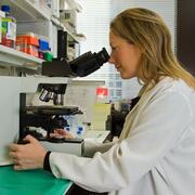 researcher looking into a microscope