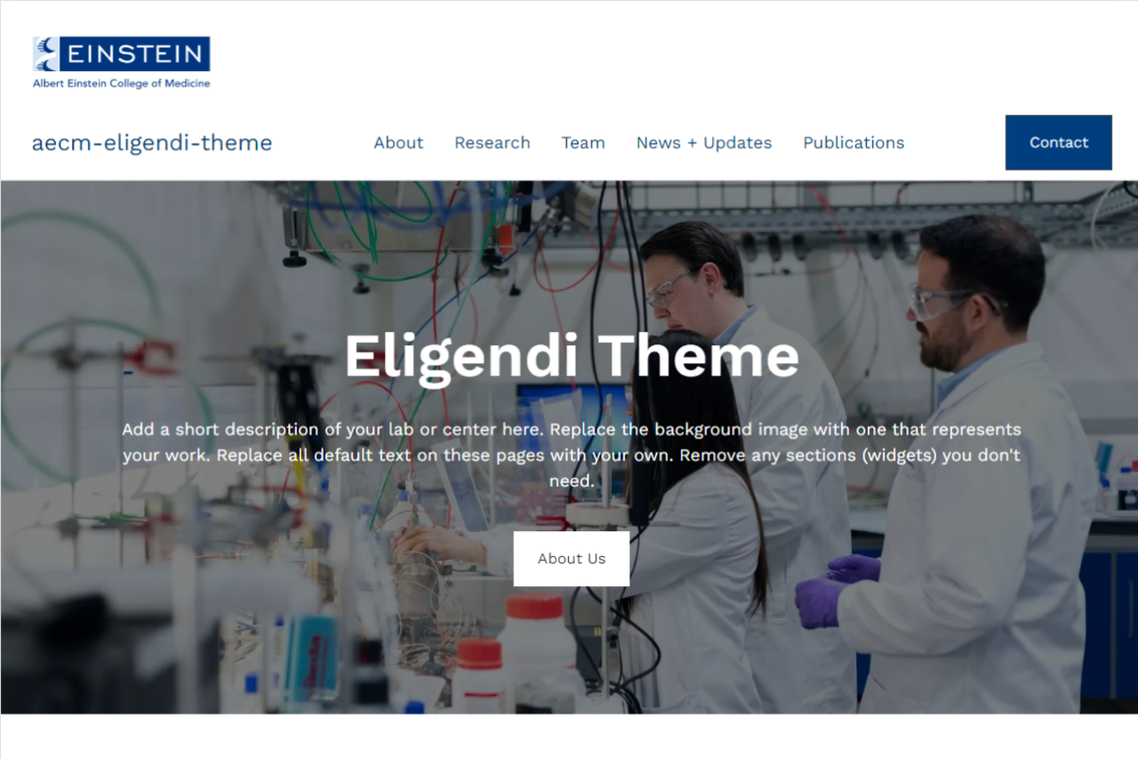 AECM Eligendi screenshot