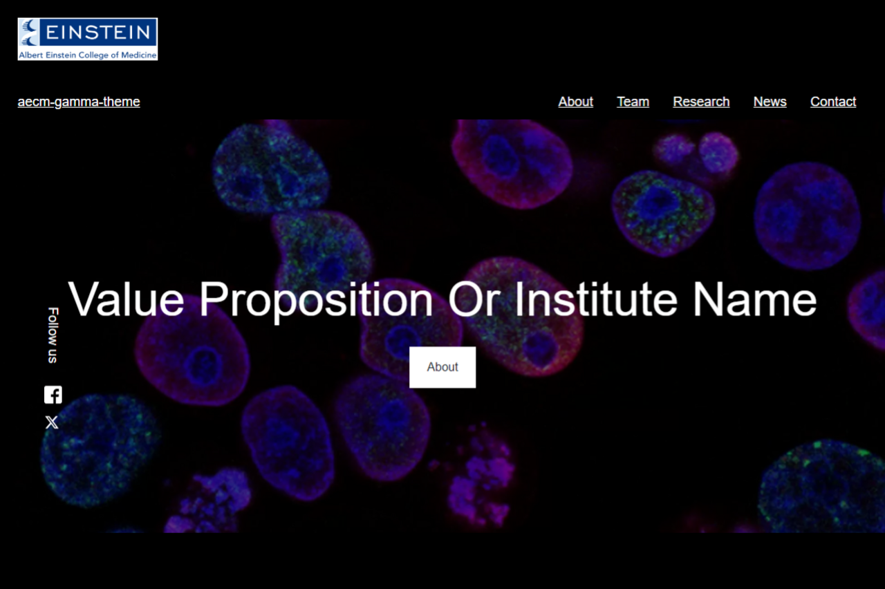 AECM Gamma screenshot